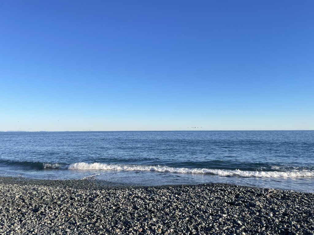 御幸の浜の海上を飛ぶ鳥たち