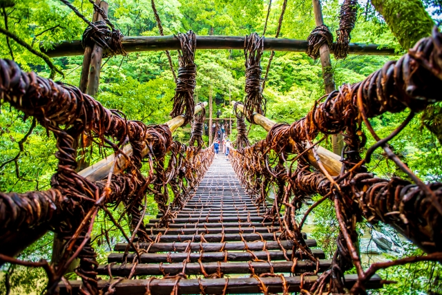 祖谷のかずら橋②