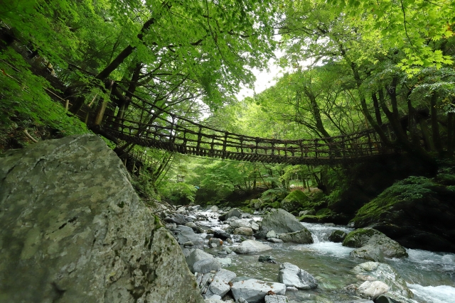 祖谷のかずら橋①