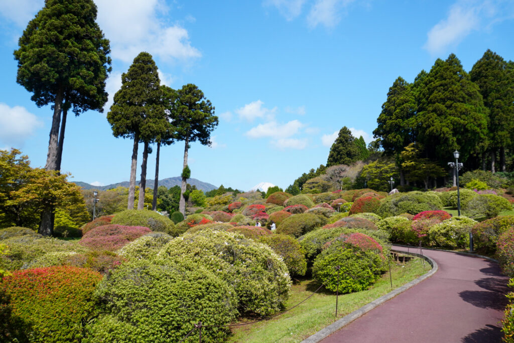 庭園と富士山