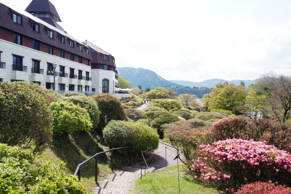庭園の様子