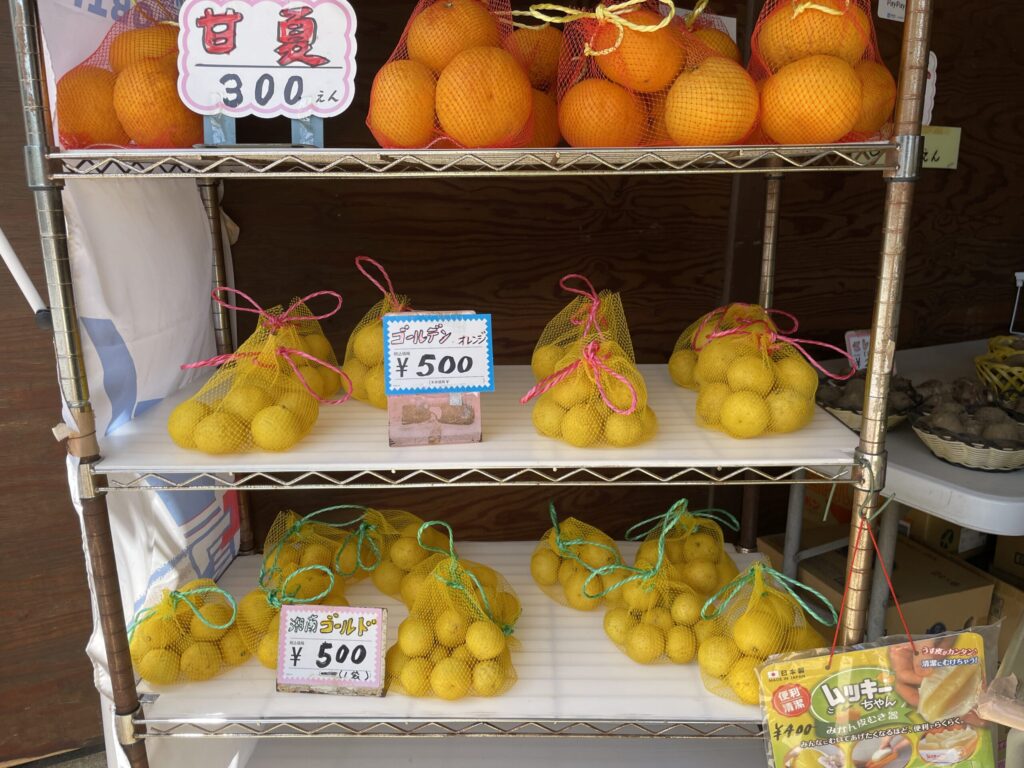 みかん販売所