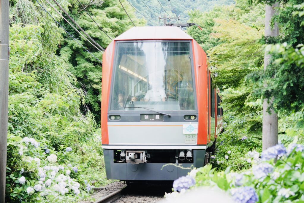 大平台付近の踏切2
