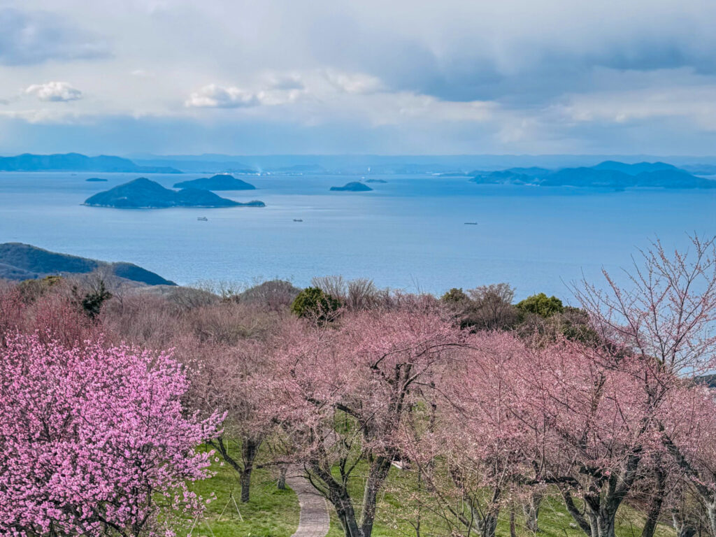紫雲出山展望台からの眺め