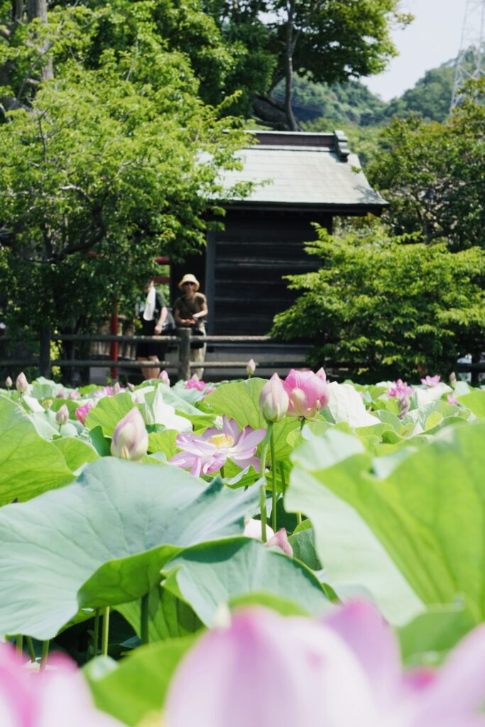 東の池