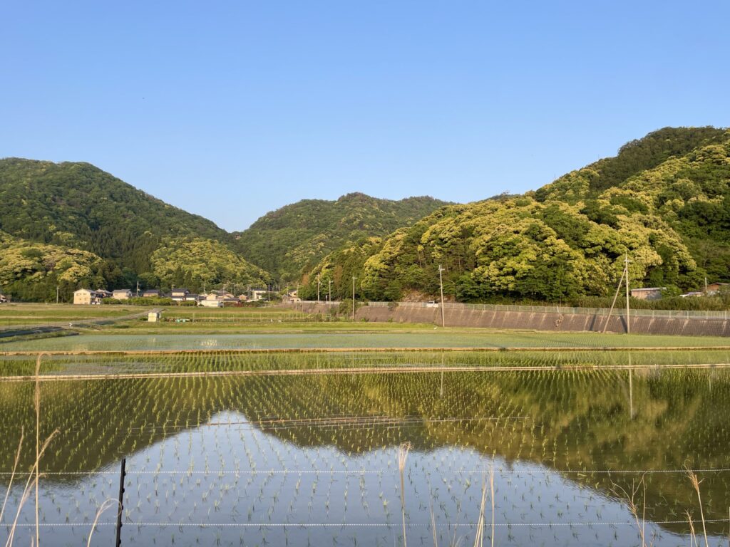 田園風景