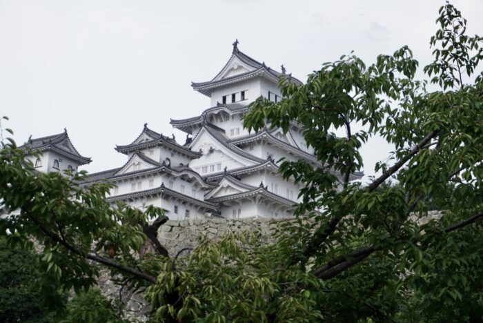 桜の木と姫路城