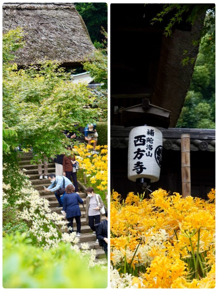 西方寺の花道