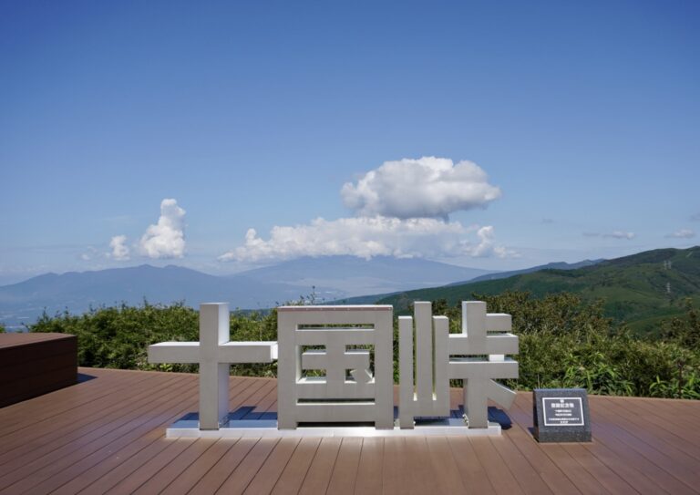 PANORAMA TERRACE 1059