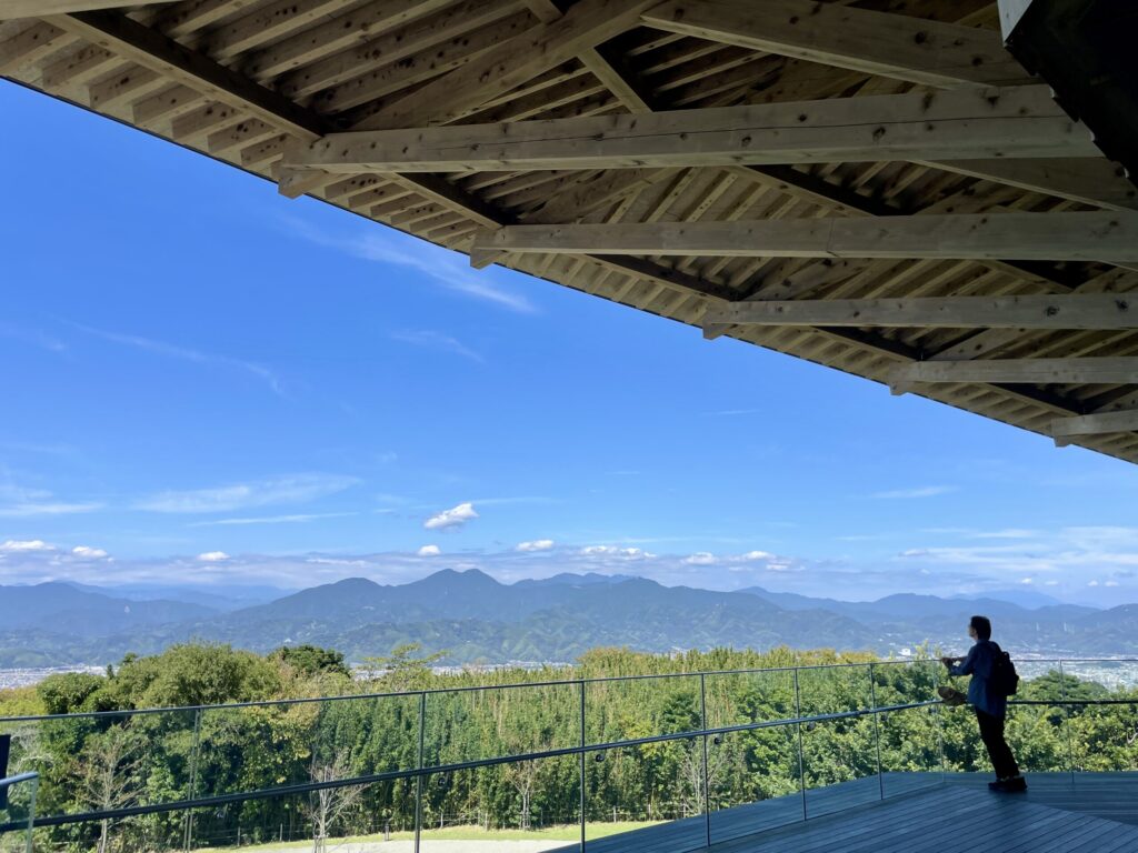展望台の山側の景色