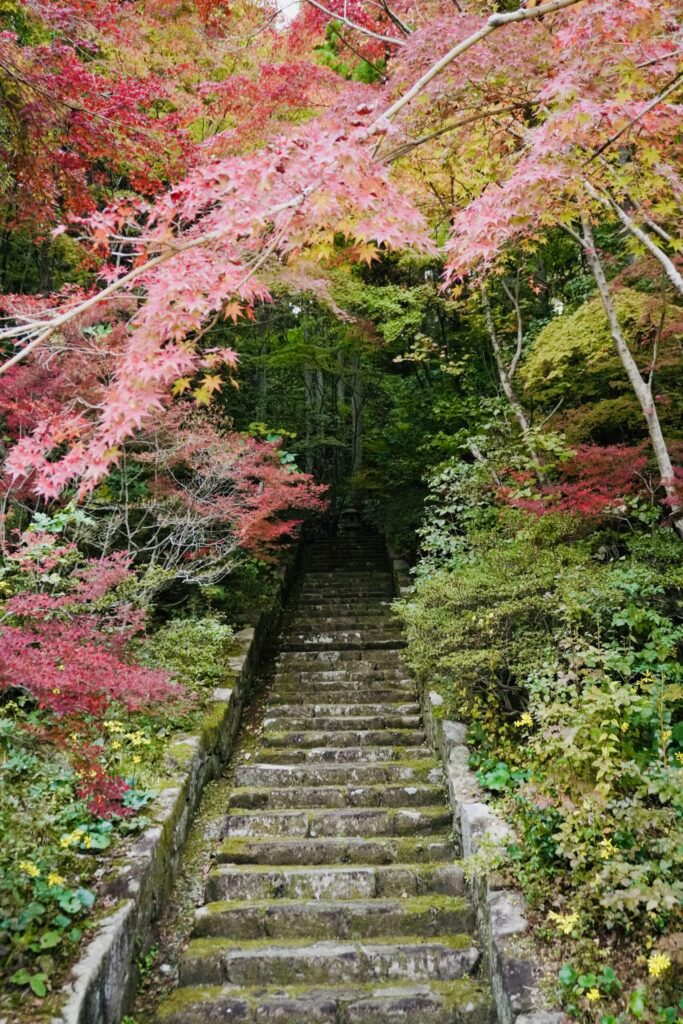 曇天の紅葉の階段