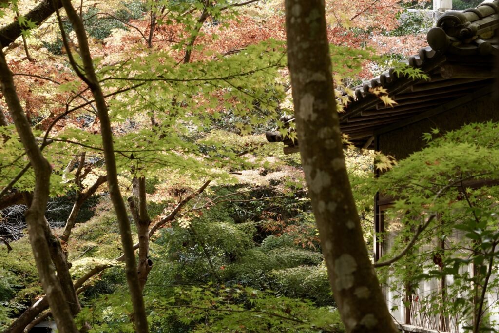 三滝寺の参道近く