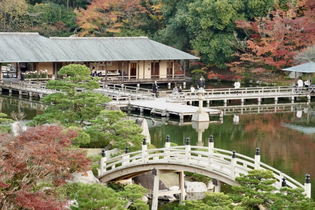 高台からの眺め