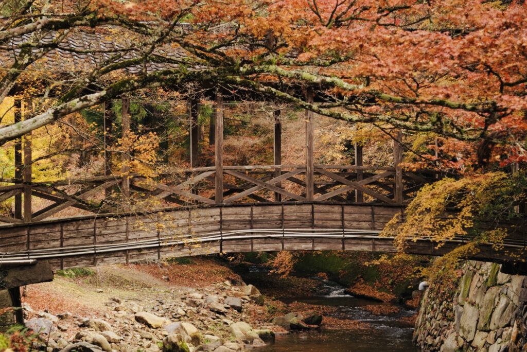 巨蟒橋きょもうきょう