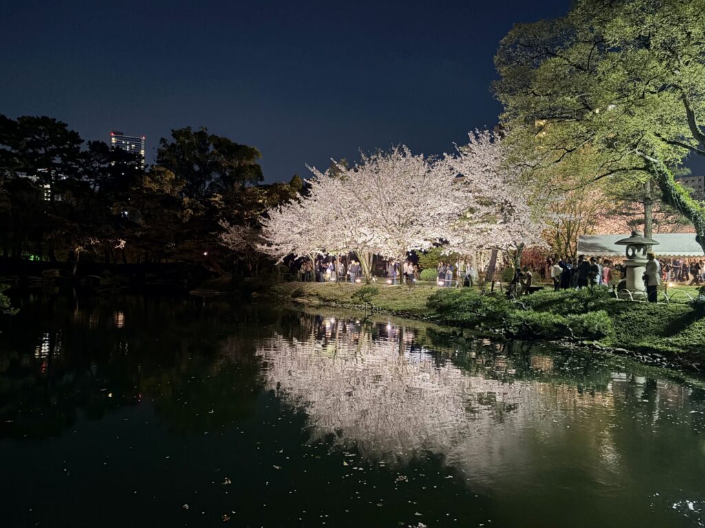縮景園 夜桜ライトアップ リフレクション