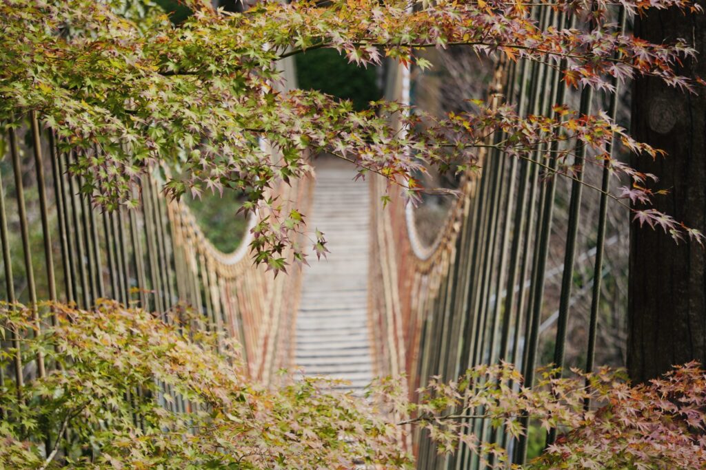 広島市森林公園_吊り橋