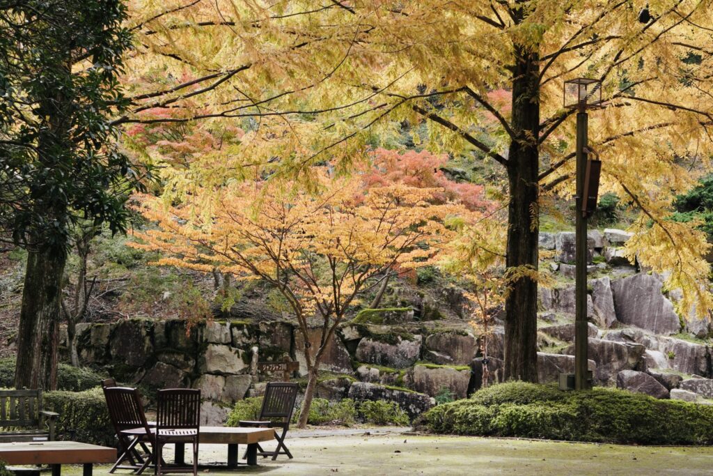 広島市森林公園休憩スポット