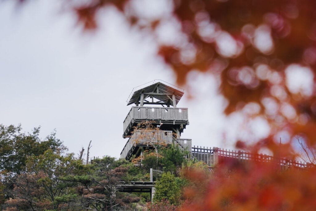 広島市森林公園_展望台の櫓