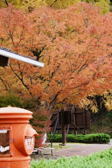 広島市森林公園_入口