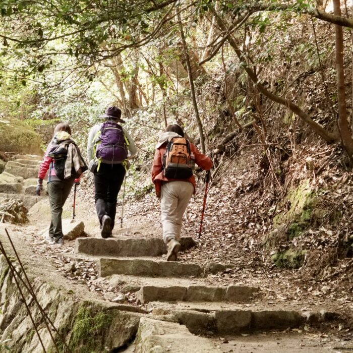 紅葉谷コース登山道