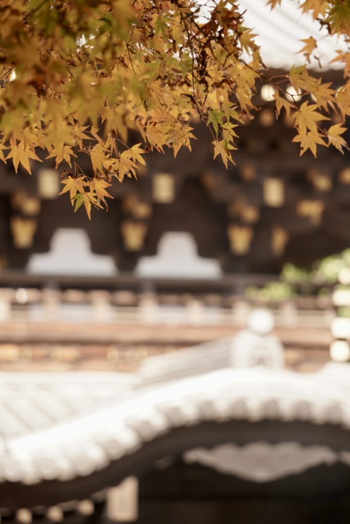 弥山本堂の紅葉１