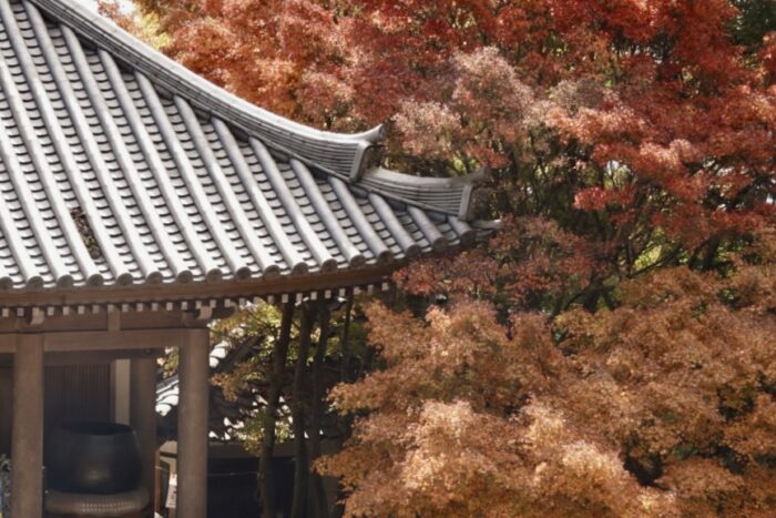 弥山境内のもみじ