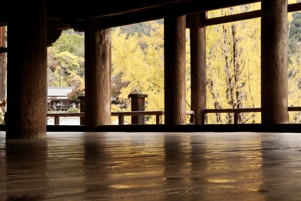 千畳閣の大イチョウ