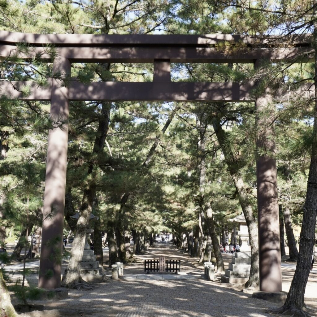 出雲大社_松の参道