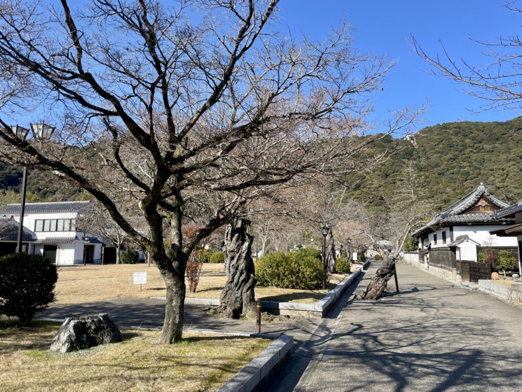 岩国 錦帯橋周辺 街並み