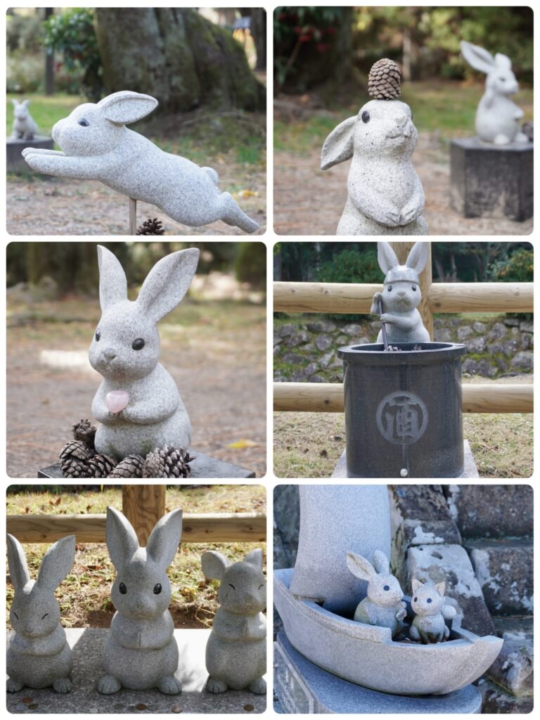 出雲大社_境内のうさぎたち