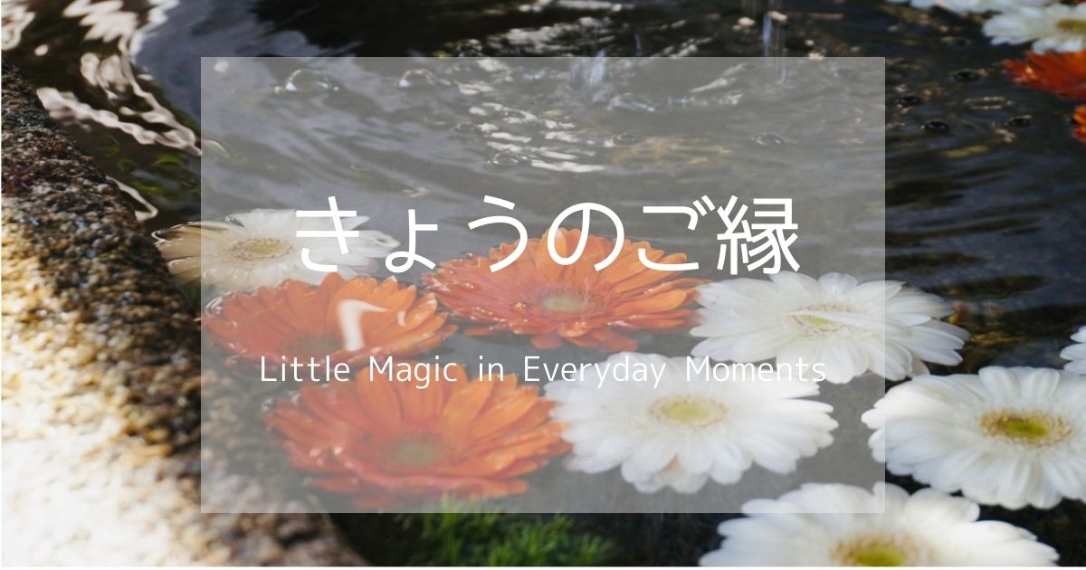 岩国　白山比咩神社　手水舎