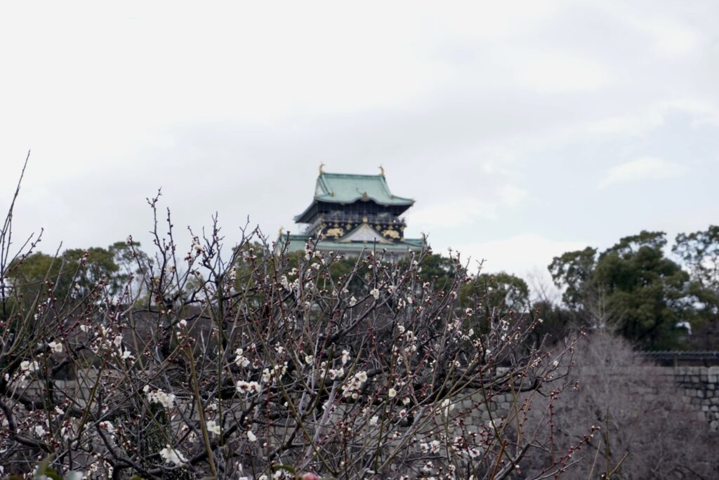 大阪城　梅林　天守閣　高垣