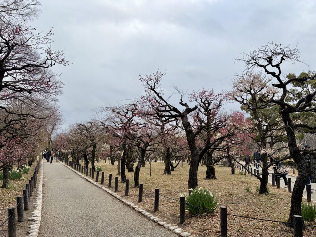大阪城　梅林　園内