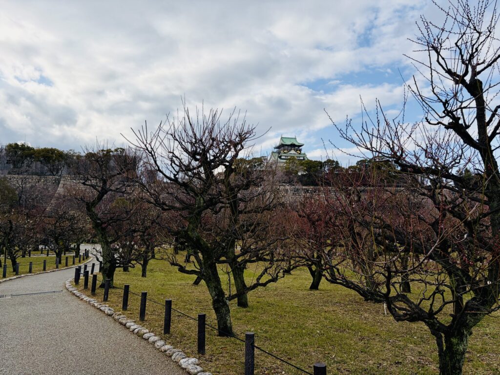 大阪城　梅林　