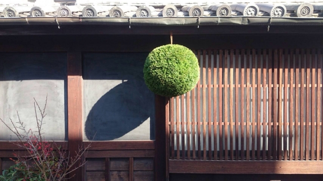 杉玉　酒林　酒蔵　酒屋