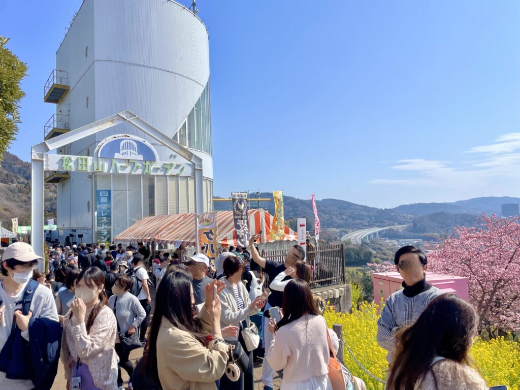 松田町　桜まつり2025　会場