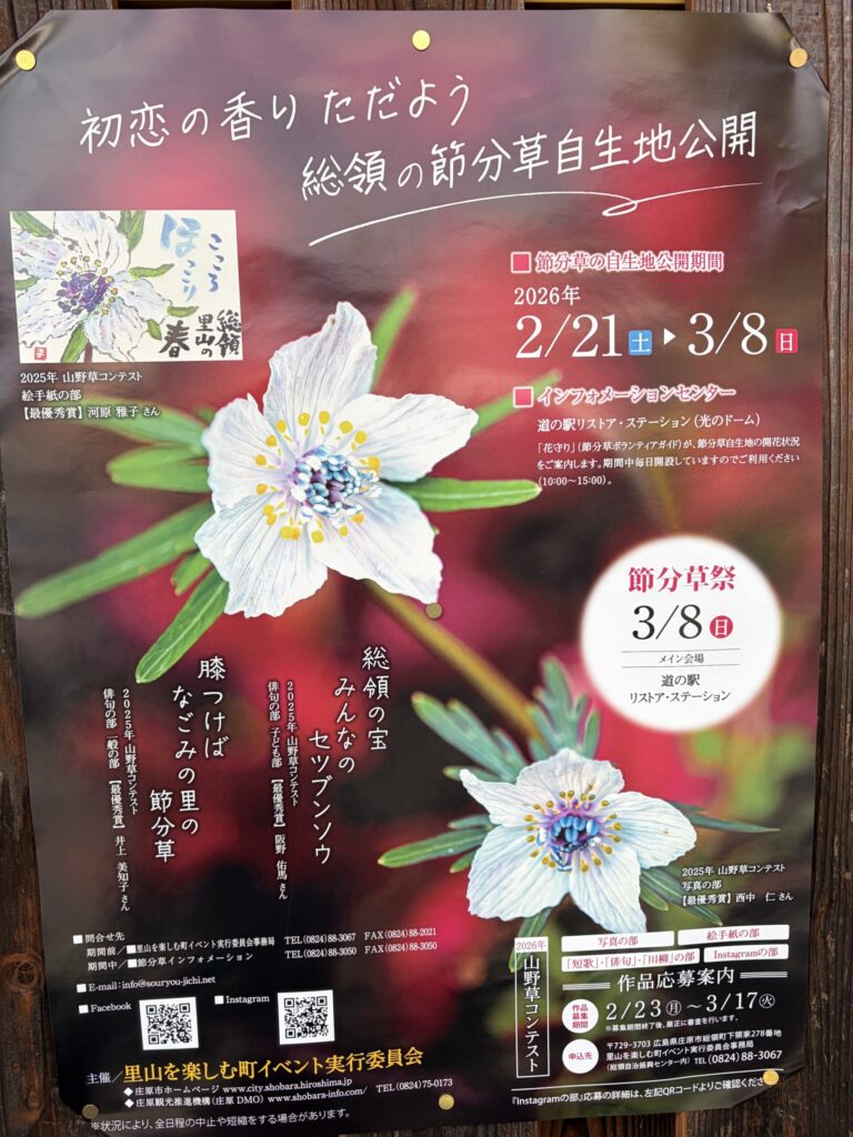 節分草 セツブンソウ イベント 庄原総領町 道の駅リストアステーション ポスター