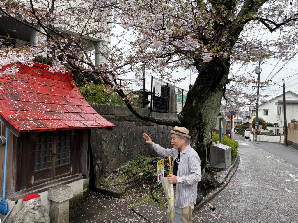 才蔵寺　お地蔵さん　桜の木